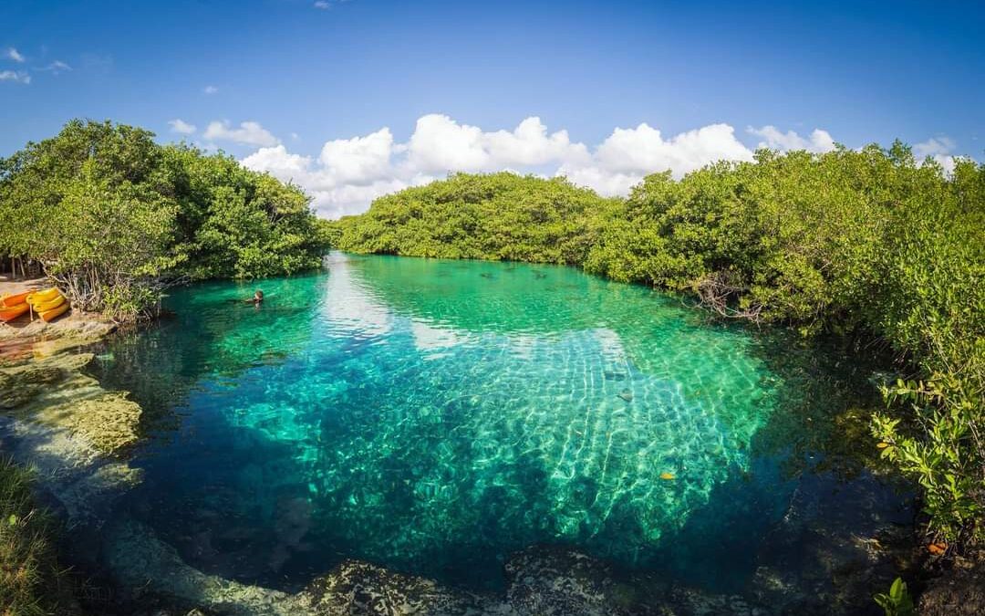 Scuba Diving in Casa Cenote – A Dive Like No Other