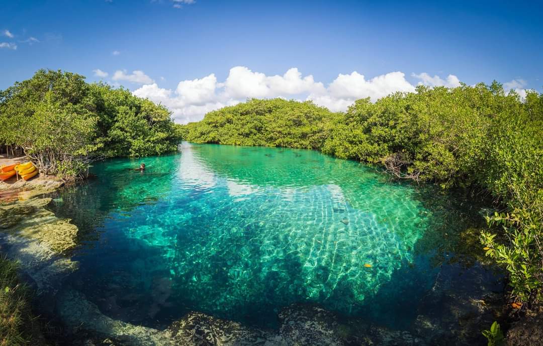 Casa Cenote 2 dives scuba diving