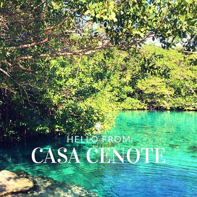 Fall in love at casa cenote
