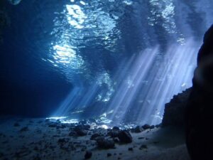 The Pit & Dos Ojos Cenote Diving