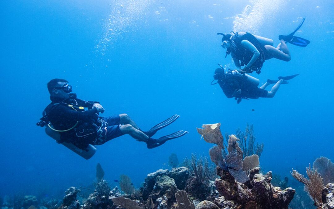 Discover Scuba