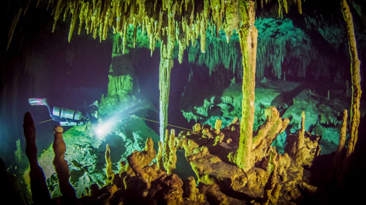 Cenote Diving Tours Scuba Dives