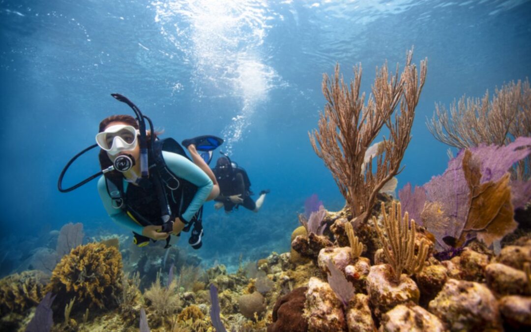 Padi Open Water Courses