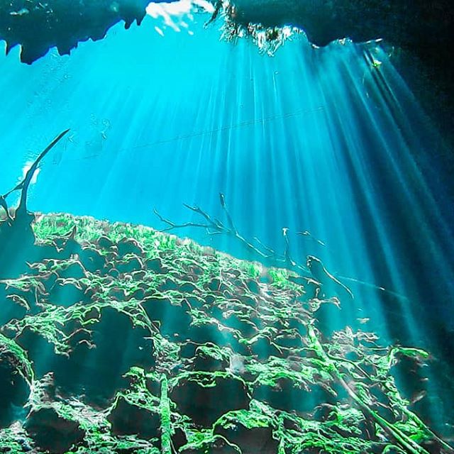 Car Wash Cenote 2021- Underwater Life & A Wall of Light