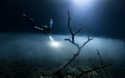 Angelita Cenote Mexico – The Famous Hydrogen Sulfide Cloud Underwater