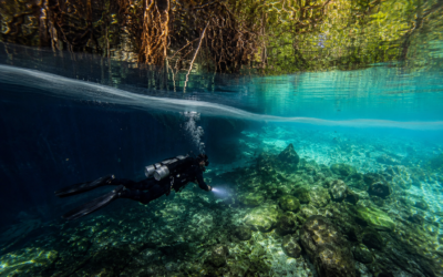 Scuba Diving in Casa Cenote – A Beautiful Dive Like No Other