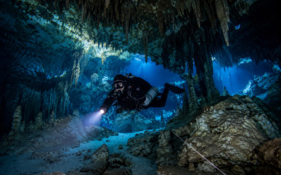 Cave Diving in Tulum, Mexico – The Ultimate Guide