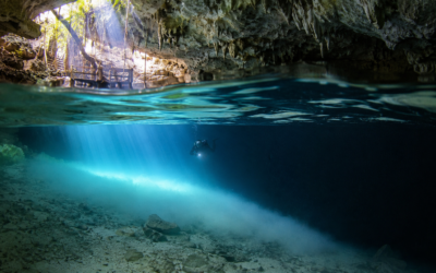 What Is a Halocline? Where Freshwater and Saltwater Meet
