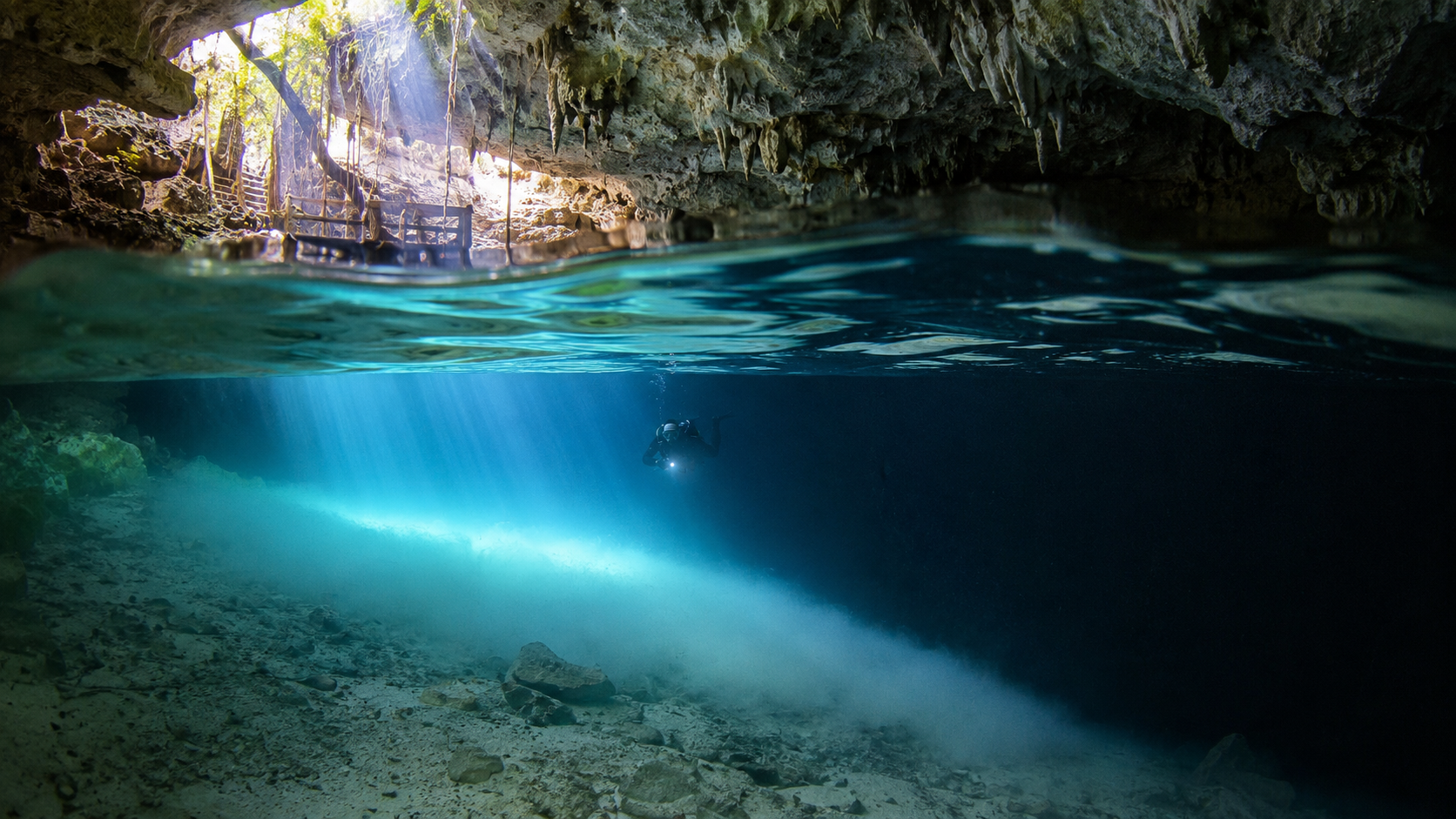 What Is a Halocline? Where Freshwater and Saltwater Meet